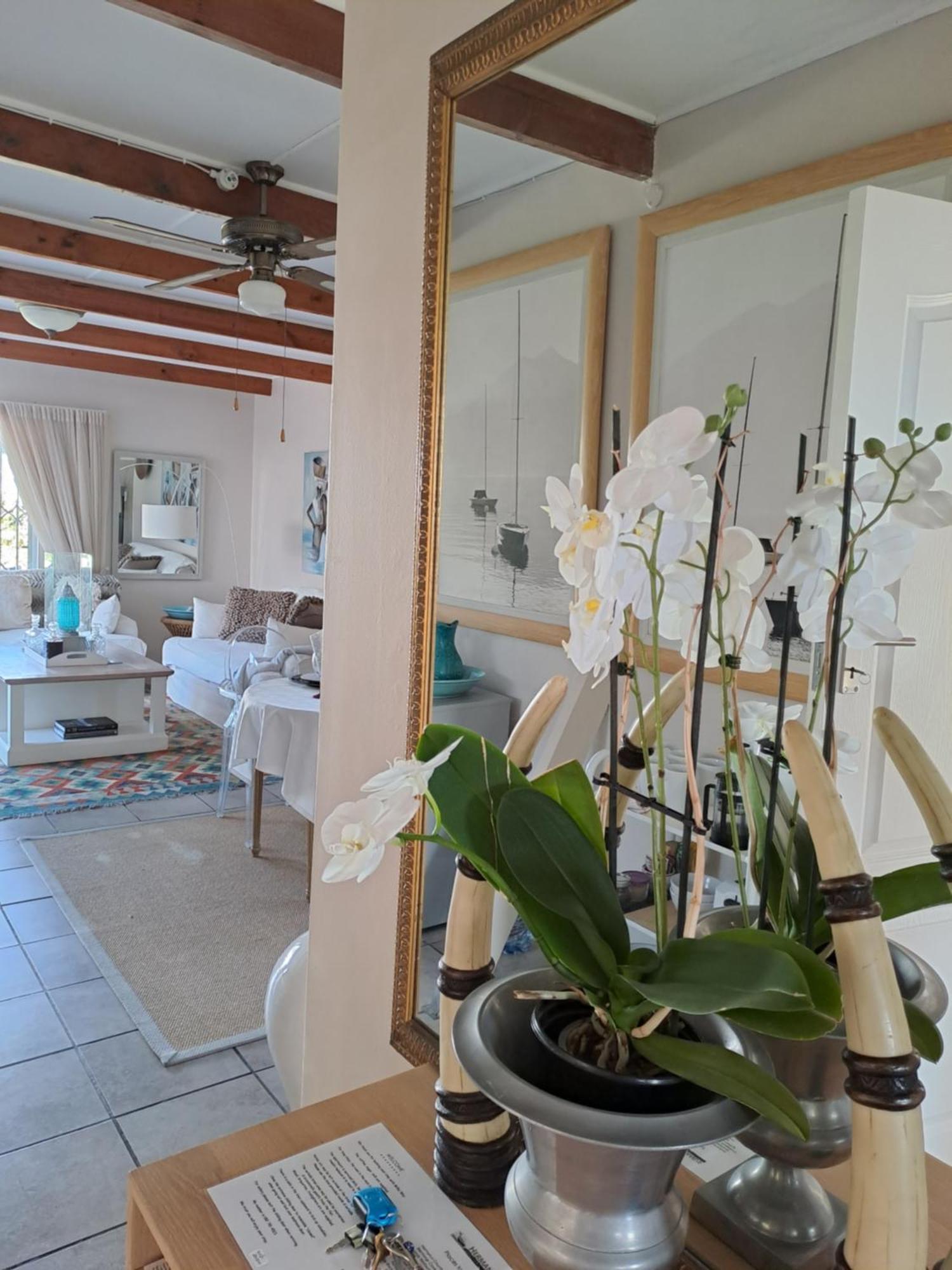 Milky Way Executive Suite 赫曼努斯 外观 照片